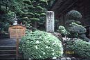 BASHO
