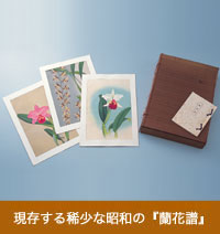 現存する稀少な昭和の「蘭花譜」